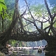 Places: Shillong to Mawlynnong, Mawlynnong sightseeing, Mawlynnong to Cherrapunji (200km/8hrs). Stay: Cherrapunji. 