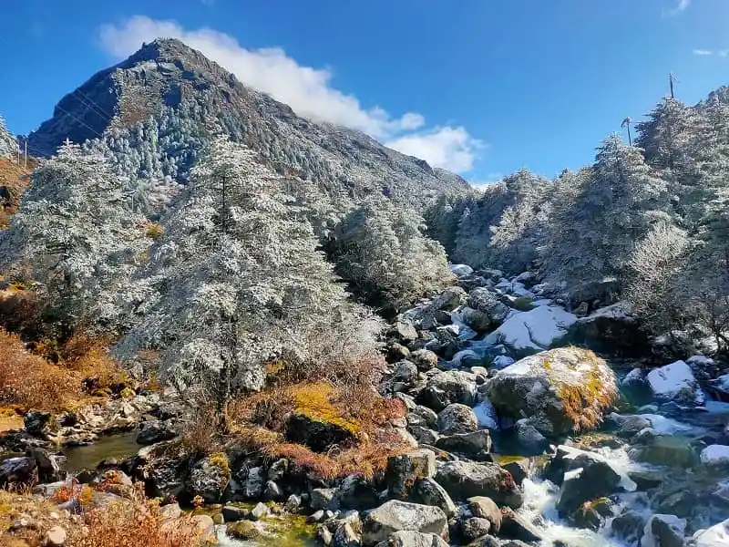 Tawang Group Tour Package: image #1