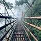 Mawryngkhang Bamboo Trail trekking (120kms/7hrs) 