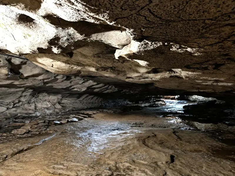 7 Days Meghalaya Tour Package: image #1